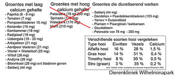 Een overzicht van calcium arme groentes